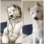 Pin by Dave Merrett on lycans Furry art, Furry drawing, Anth