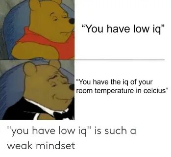 You Have Low Iq Is Such a Weak Mindset Dank Meme on ME.ME