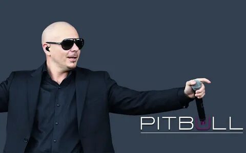 10 New Pitbull The Singer Pictures FULL HD 1080p For PC Desk