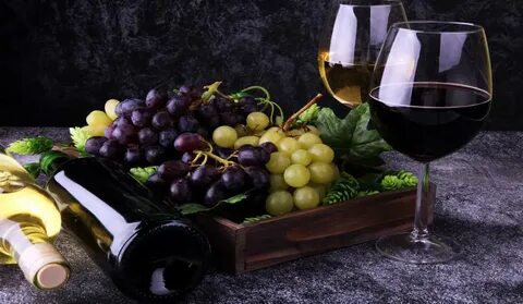 Vinistra 26. International Wine and Winery Exhibition - news