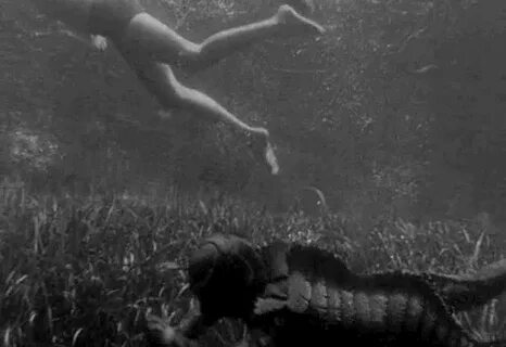Creature from the black lagoon gif 5 " GIF Images Download