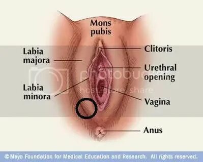 Bump On Lower Part of Outer Labia - (( VaginaPagina )) - Liv