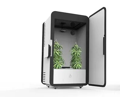 Как самостоятельно собрать гроубокс для выращивания марихуан