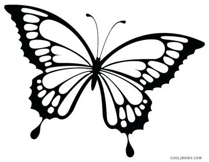Easy Side View Butterfly Drawing - img-carnation