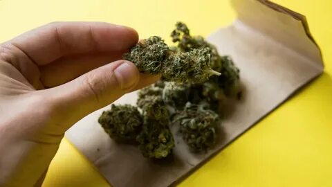 In Michigan, 98 medical marijuana dispensaries forced to clo