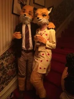 Fantastic Mr. Fox home made Halloween costume Fantastic mr f