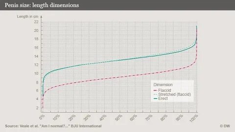 Durchschnitt penis größe 