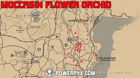 Rdr2 Moccasin Flower Orchid CLOUDIX GIRL PICS
