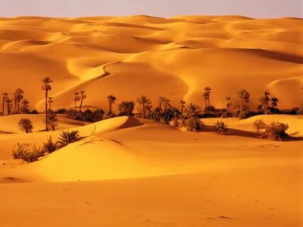 Desert Oasis, Libya Deserts of the world, Beautiful nature, 