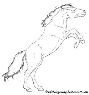 Drawing mustang template, Picture #1366189 drawing mustang t