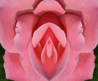Цветок Влагалище - Откровенные Фото Девушек