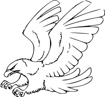 white eagle png - Eagle Black And White Clipart - Eagle Blac