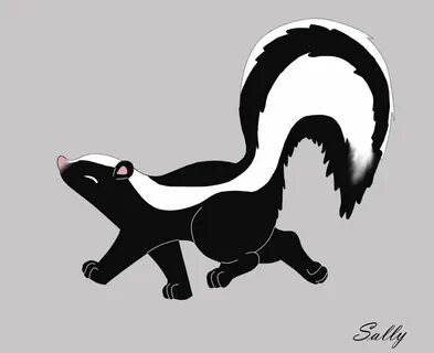 Black and white skunk on a gray background free image downlo