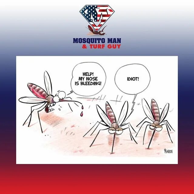 Mosquito Man.
