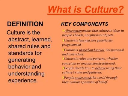 What is Culture DEFINITION.