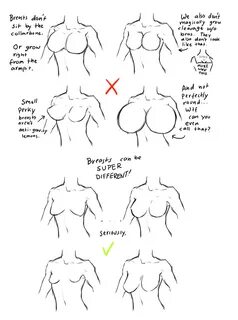 BAHHA this is hilarious xD life drawing tips Анатомический Рисунок, Анатоми...