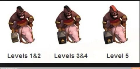 Levels 1&2 Levels 3&4 Level 5