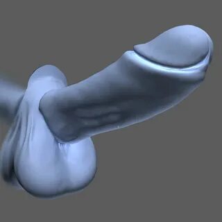 penis 3D Models in Anatomy 3DExport