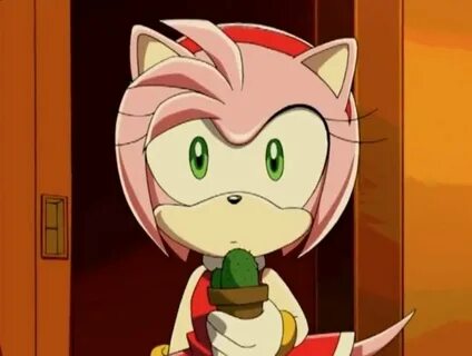 Pin by Hikari Sweets on Amy Rose Rose pictures, Amy rose, So