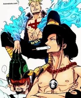 Ace-Marco-Thatch One piece ace, One piece comic