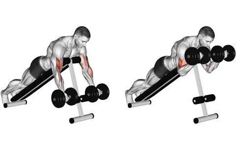 Dumbbell One Arm Zottman Preacher Curl Home Exercises MyBody