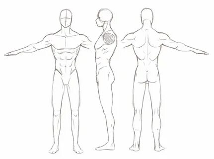 Male Turnaround Study Human drawing, Drawings, Character mod