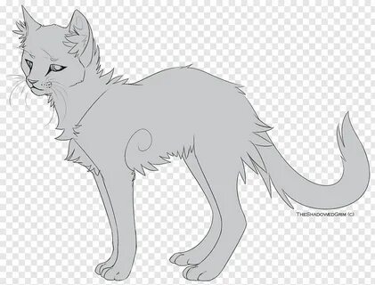Line art Whiskers Cat Ravenpaw Drawing, painted cat free png