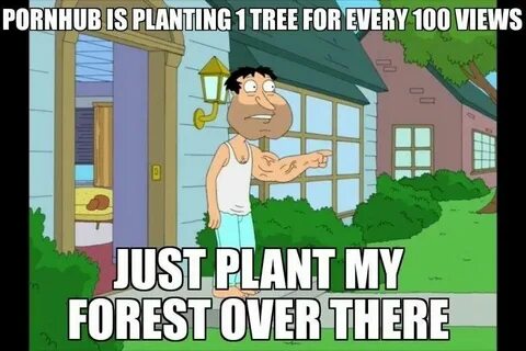 Family Guy Funny Funny pictures, Family guy, Dudes be like