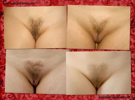 Виды женских лобков (72 фото) - секс фото