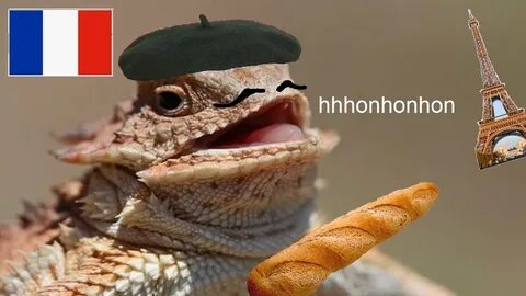 hhhonhonhon Laughing Lizard / hhhehehe Know Your Meme