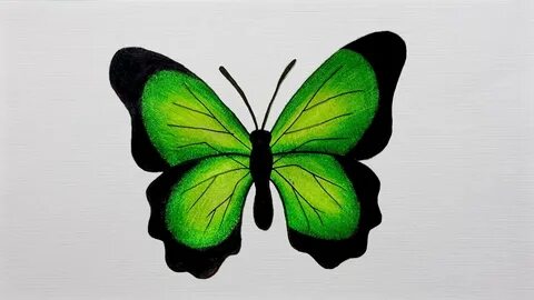 How To Draw a Butterfly Step by Step Drawing butterfly - You