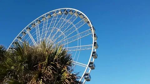 Myrtle Beach South Carolina United States: стоковое видео (б