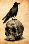Résultat de recherche d'images pour "corbeau" Raven art, Dar