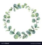 Watercolor wreath with eucalyptus branches Vector Image