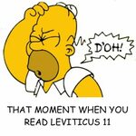 Pin by Chris Oulman on BIBLE Homer simpson doh, The simpsons
