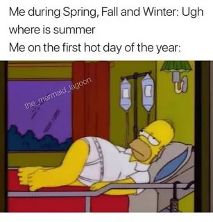 🐣 25+ Best Memes About Fall-And-Winter Fall-And-Winter Memes