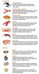 Crustaceans and Mollusks