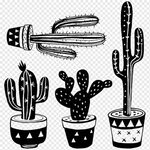 Cactus, Drawing, Sticker, Black And White, Plant, Hand, Line