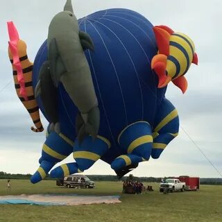 Foto di Balloon Rally (Sekarang Ditutup) - Tempat Luar Ruang