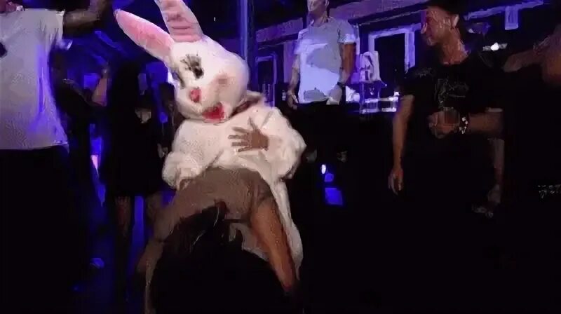 Happy Easter Day Bunny GIF - Happy Easter Day Bunny Funny Bu