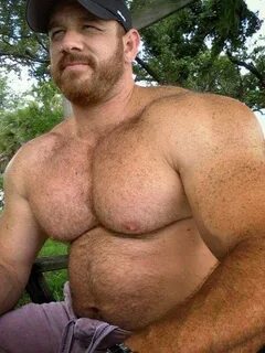 Muscle Lover: BIG BULLS!