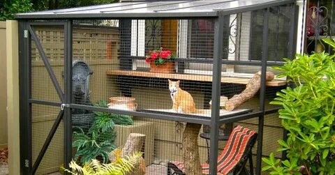 Homeowner Builds A Weird Patio Out Back, Then The Cat Climbs