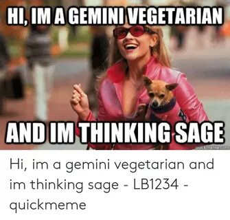 🐣 25+ Best Memes About Gemini Season Meme Gemini Season Meme