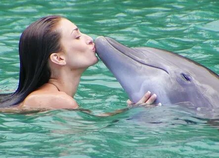 Долфин-Коув, Dolphin Cove, Бухта дельфинов - Очо-Риос