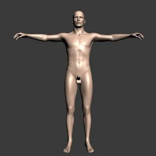 3d male nude - Best adult videos and photos