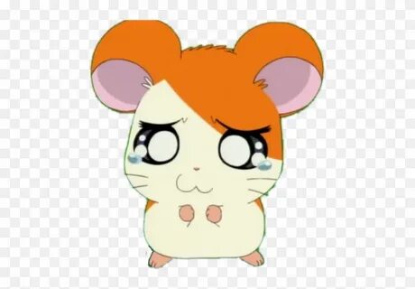 Line Hamtaro Stickers - Free Transparent PNG Clipart Images 