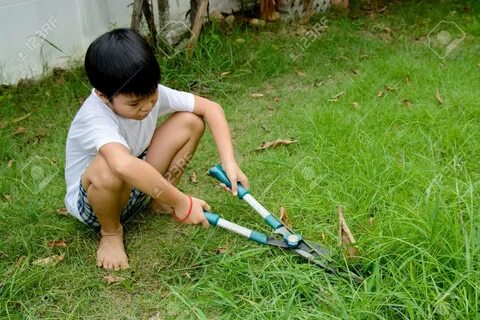 Young Asian Boy Use Hand Grass Scissors To Cut The Long Gras