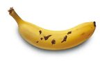 Banana Vs Platano