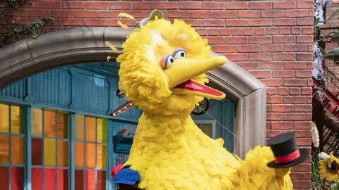 Sesame Street Season 51 Episode 5103 - Measuring Big Bird Mu