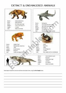 Extinct and endangered animals - ESL worksheet by kirstyjay